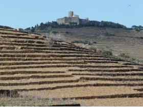 photo coins arrondis